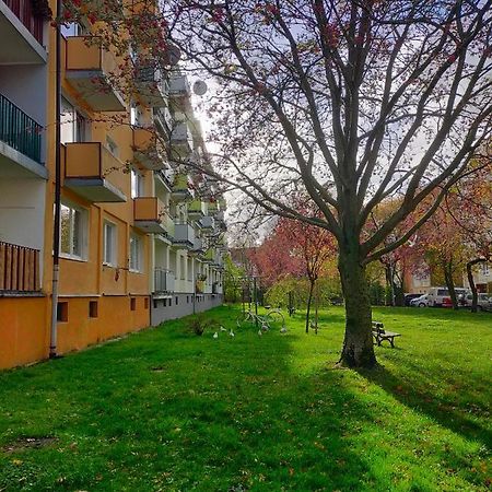 Muszelka Διαμέρισμα Kołobrzeg Εξωτερικό φωτογραφία