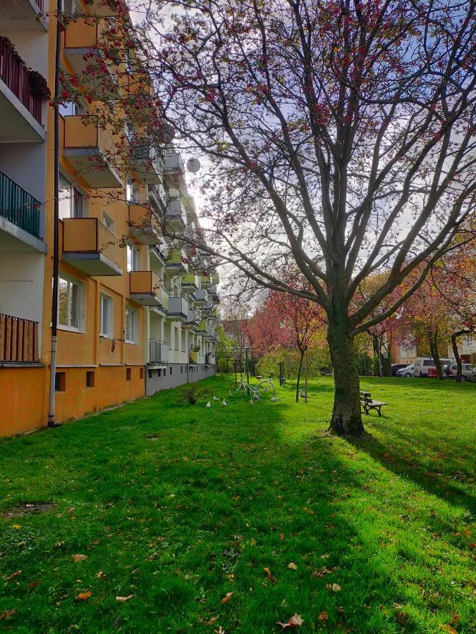 Muszelka Διαμέρισμα Kołobrzeg Εξωτερικό φωτογραφία